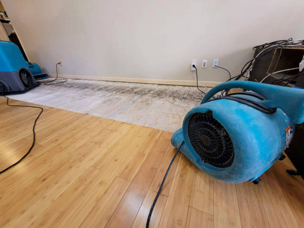 Professional Water Damage Repair technician working in Guysville, OH